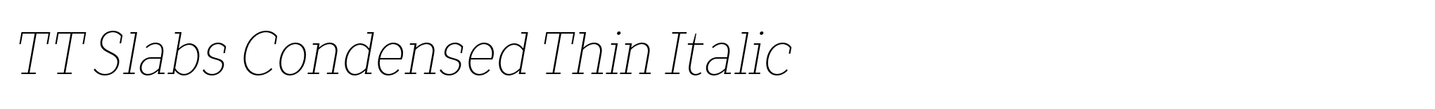 TT Slabs Condensed Thin Italic image